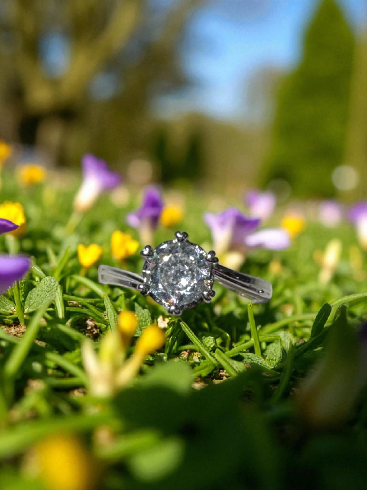 Celestial Twist Ring